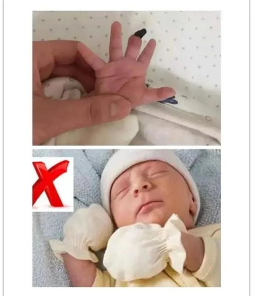 新生儿护理手册 上 ,新手爸妈请收藏