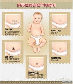45张医学美图,带你熟记妇产科高频考点 建议收藏