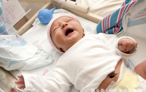 新生儿剪脐带,是妈妈疼还是宝宝疼 正确护理脐带全靠这三点